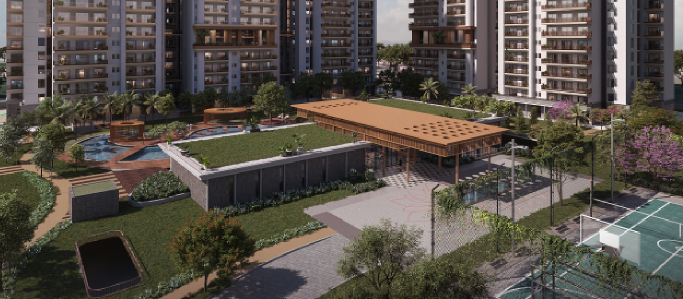 Activities & Recreation